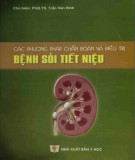 Ebook Các phương pháp chẩn đoán và điều trị bệnh sỏi tiết niệu: Phần 1