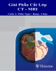 Ebook Giải phẫu cắt lớp CT-MRI tập 2: Phần 2