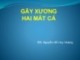 Bài giảng Gãy xương hai mắt cá - BS. Nguyễn Hồ Huy Hoàng