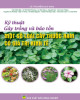 Ebook Kỹ thuật gây trồng và bảo tồn một số loài cây thuốc Nam có giá trị kinh tế: Phần 2