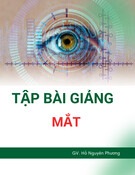 Tập bài giảng Mắt - GV. Hồ Nguyên Phương