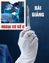 Bài giảng Ngoại cơ sở II